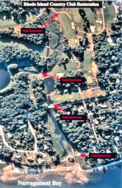 An aerial view of the Mussachuck Creek system indicates the areas of tidal restriction. Picture