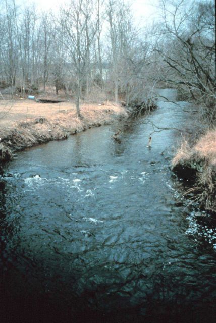 A view of Mussachuck Creek, the creek runs east to west Picture