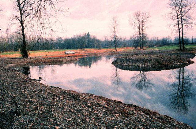 At the lower portion of the slough, a large pond complex was constructed as a part of the restoration Picture