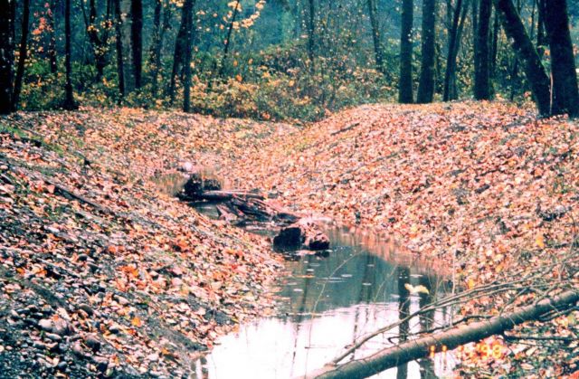 A section of the upper channel with large woody debris placed in the newly constructed channel. Picture