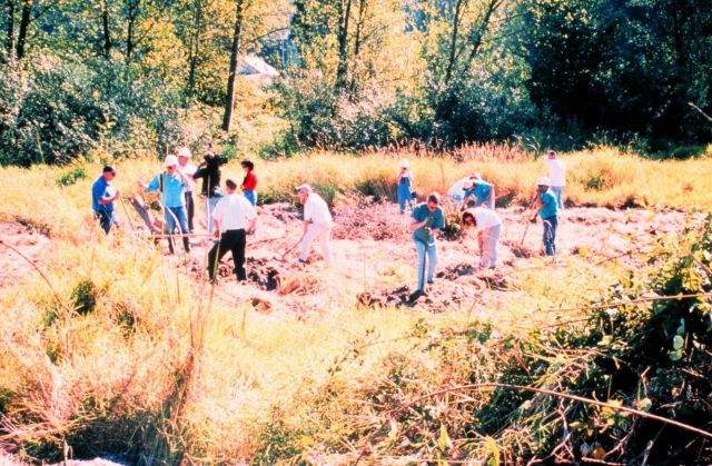 A group of volunteers, on site, place a hemp blanket and plant Willow and Red Oiser Dogwood on the banks of the restored areas. Picture