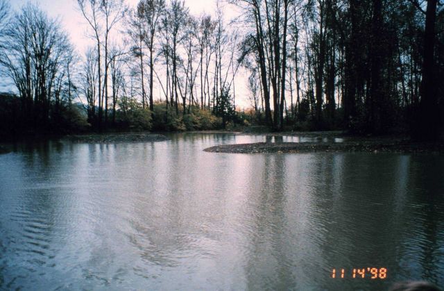 High-water flood events bring fish in and out of the system. Picture