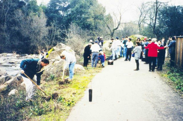 Over 200 school children planted 2000 native trees along Brush Creek to revegetate the stream bed to provide optimum spawning conditions for steelhead Picture