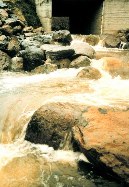A high-flow event as water rushes over the newly constructed fish pools. Picture