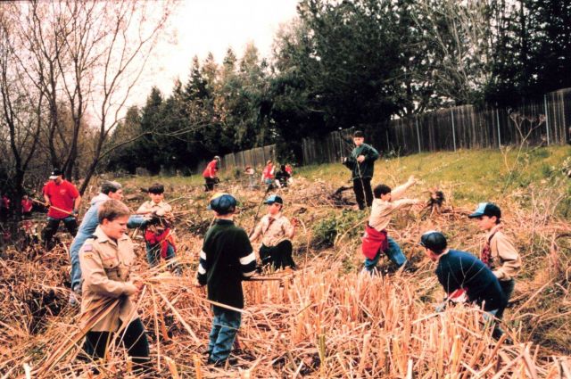 Volunteers plant naturally occurring vegetation at the stream bed Picture