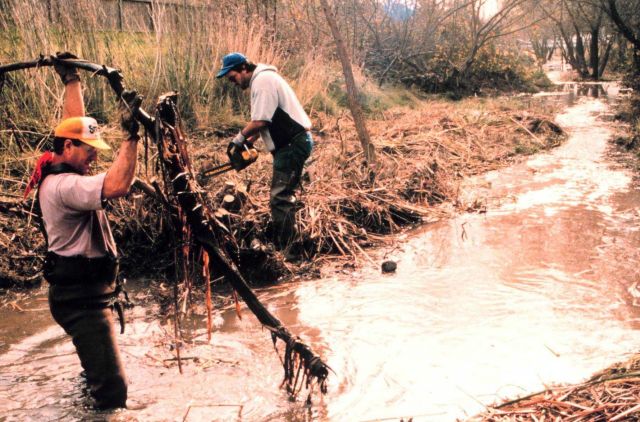 Tom Furrer, the high school teacher, began the United Anglers of Case Grande as a way to actively engage students Picture