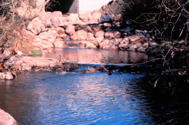 Looking up towards the old culvert at the newly constructed fish pools. Picture