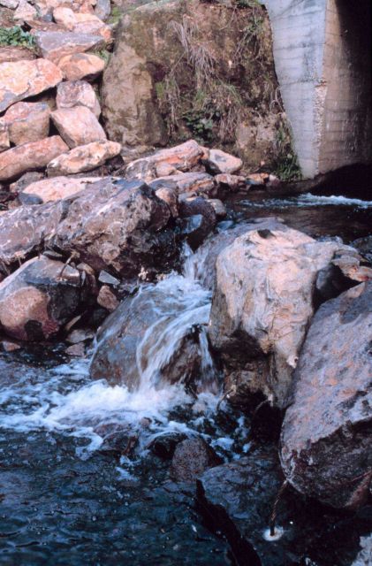 Water flows over the fish-step pools. Picture