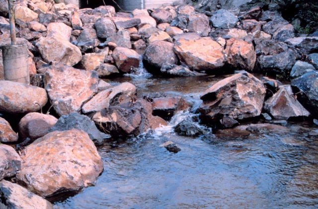 A wide angle view of the fish pools. Picture