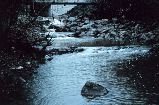 A view of the completed fish pools. Picture