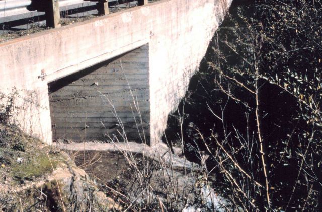 Looking upstream at the culvert Picture