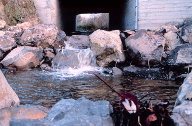 Looking into the culvert Picture