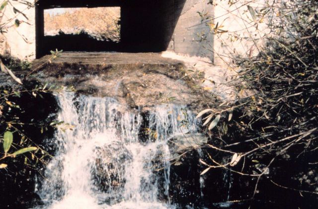 The extreme drop at the culvert was eliminated by the restoration. Picture