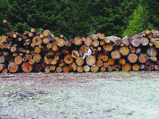 The Finney Creek restoration project placed over 750 logs into more than 80 log jams in upper Finney Creek Picture