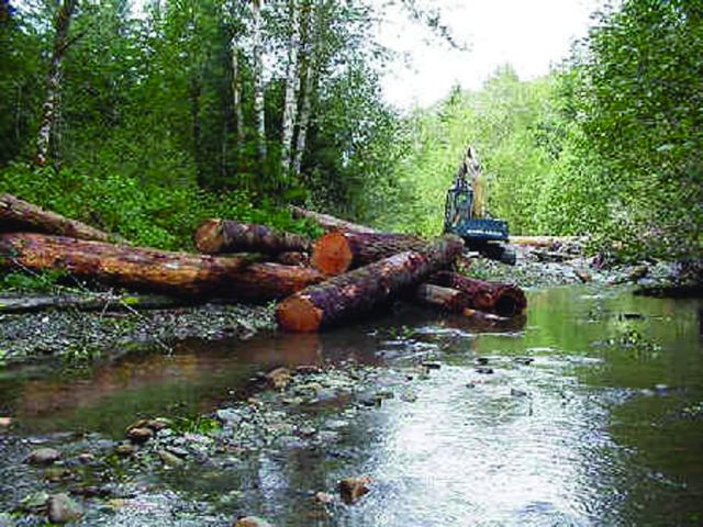 An excavator places logs in the stream to create a log jam. Picture