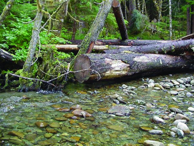 A completed log jam Picture