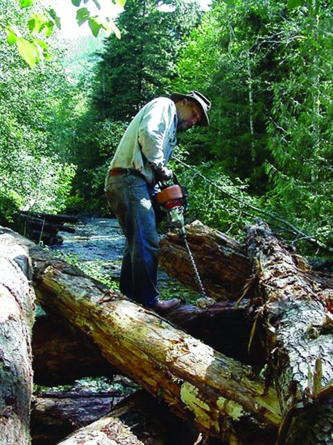A member of the Skagit Fisheries Enhancement Group cuts holes to place cable in the logs Picture