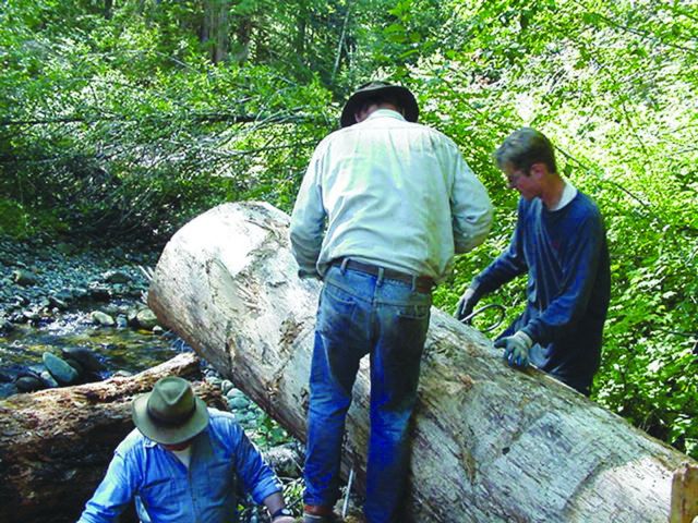Skagit Fisheries Enhancement members secure the logs with cable. Picture