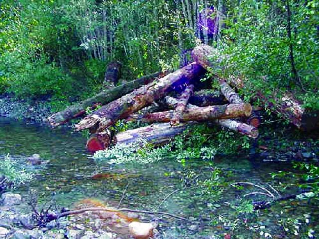 A completed log jam. Picture