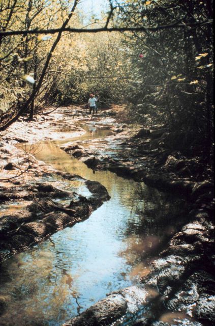 Work in progress at Duck Creek Picture