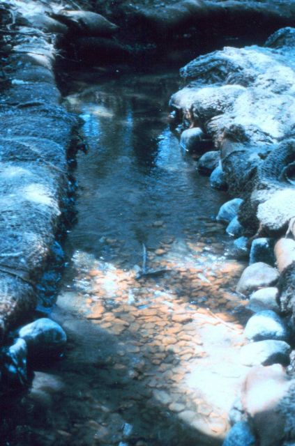 A close-up of the sand bags, cobble and jute matting used to reconfigure the channel. Picture