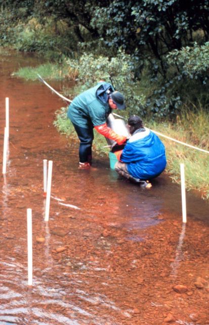 A close-up of the sediment sampling process. Picture