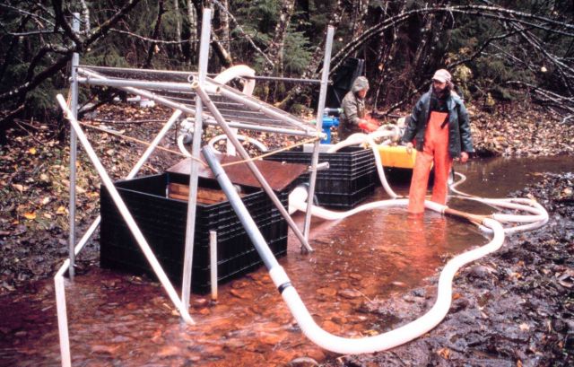 A view of the entire pumping and dredging operation used at Duck Creek. Picture