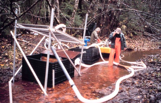 Another image of the suction and dredging machinery used at Duck Creek. Picture