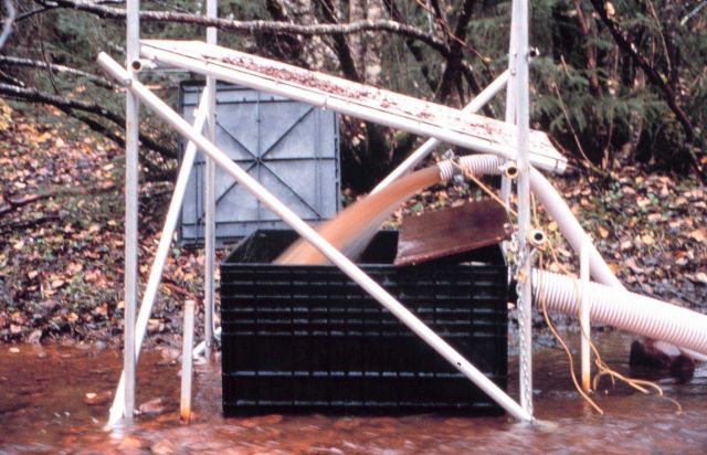 A close-up of the pumping and filtering process. Picture