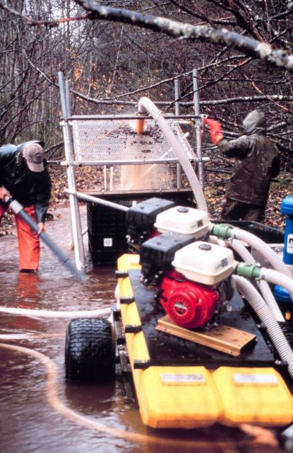 Larger cobbles of gravel are trapped in the screening process as they are pumped onto the screen from the riverbed. Picture