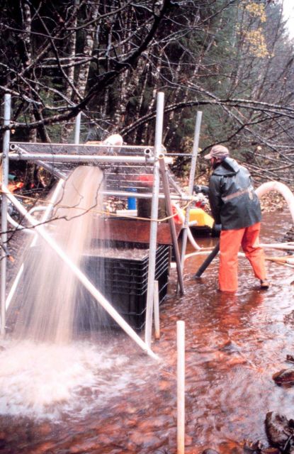 Water and sediment jets through the screen as it is pumped from the riverbed. Picture