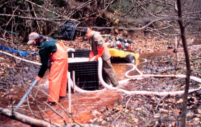 Two men work the pumps at the Duck Creek restoration site. Picture