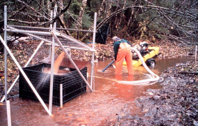 An overview of the pumping and dredging operation, the modified gold digger is on wheels in the background. Picture