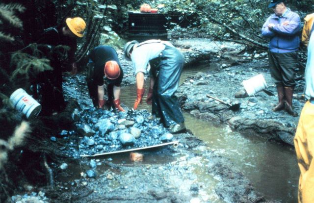Americorp volunteers manually sort sand and gravel using shovels. Picture