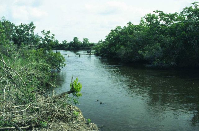 A view of the canal on the interior side of the SRT. Picture