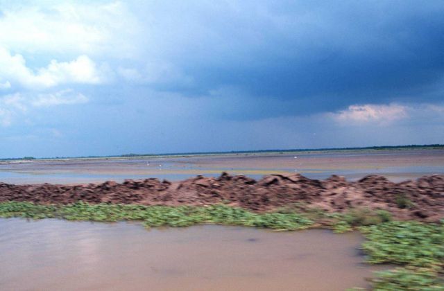 A close-up view of the containment dike and the newly emerging created wetlands. Picture