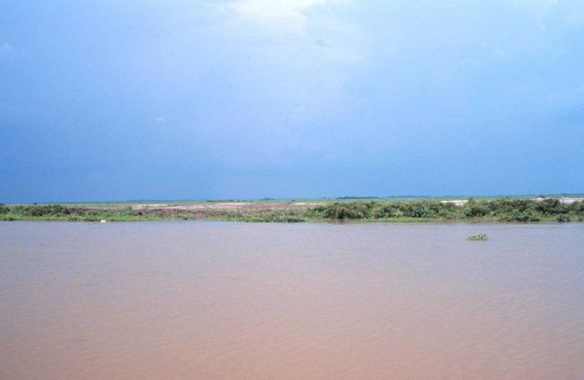 The containment dike as seen from a distance, the murky water indicates the rich sediment sources of the Atchafalaya River. Picture