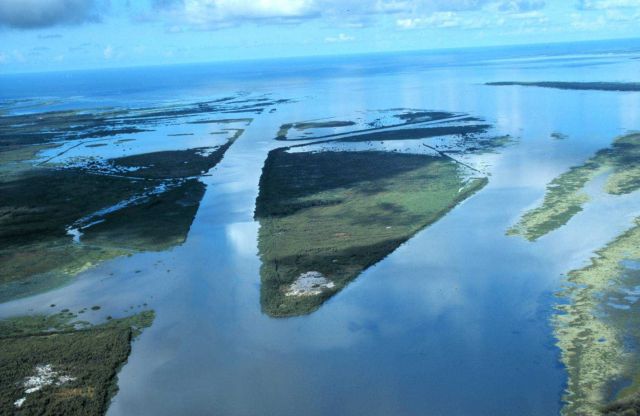 An aerial view of the created wetlands several months after dredging Picture