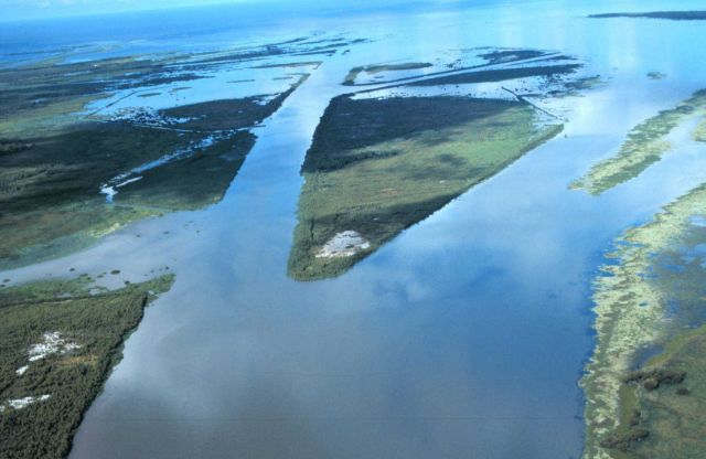 An aerial view of the created wetlands showing two newly established delta lobes. Picture