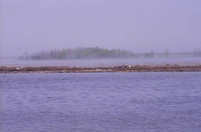 Marsh Creation disposal site immediately after construction. Picture