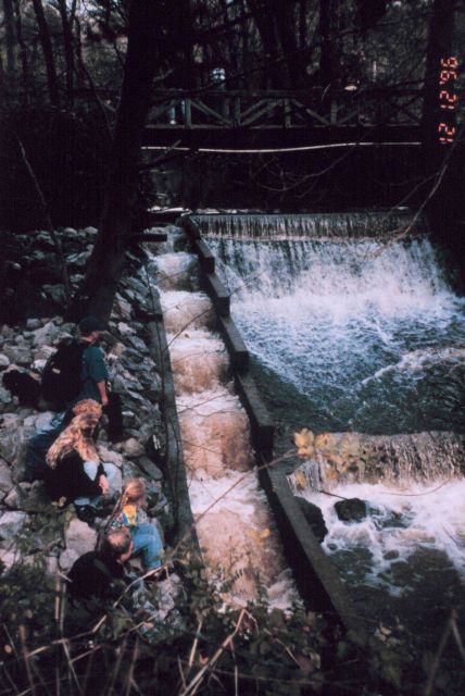 Roy's Dam is in Lagunitas Creek, CA and suffered from a non-functioning fish ladder Picture