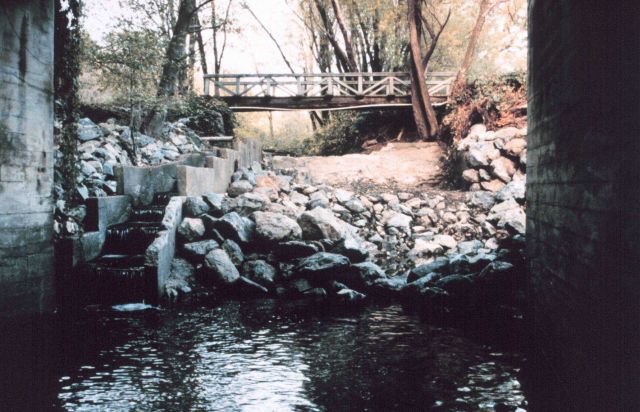 Roy's dam in the construction phase Picture