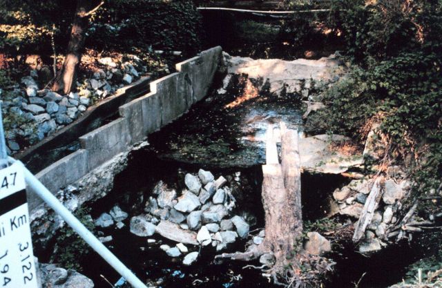 A root wad is placed in the middle of the pools to slow flow and provide habitat for migrating fish. Picture