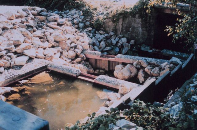 Work to stabilize the bank has begun. Picture