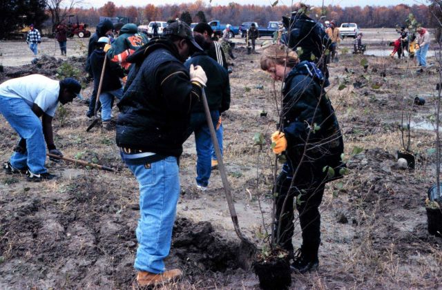 Volunteers plant woody shrub wetland species in the restored flood plain. Picture