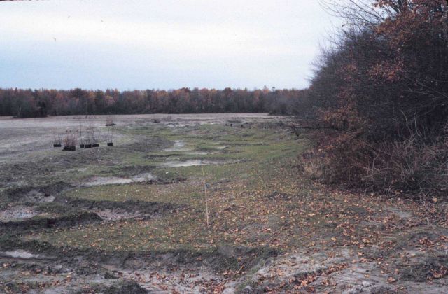 The base flow channel, after restoration with the addition of meanders and ready for planting. Picture