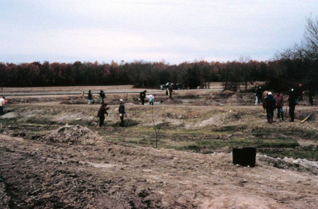 Vegetation in the flood plain Picture