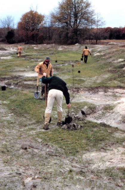 Volunteers plant near the newly restored stream bank where meanders have been added. Picture