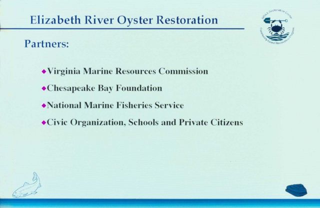 A slides describing the oyster reef seeding project. Picture