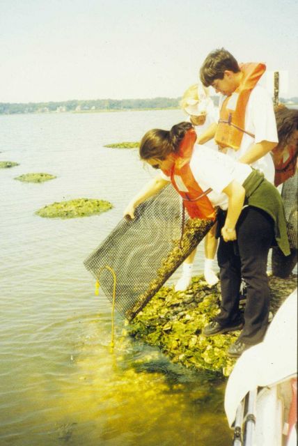 Northside middle school volunteers seed the reef. Picture